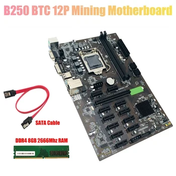 B250 BTC Madencilik Anakart ile DDR4 8G 2666 MHz RAM+SATA Kablosu LGA 1151 DDR4 12 xgraphics Kart Yuvası için BTC Madenci