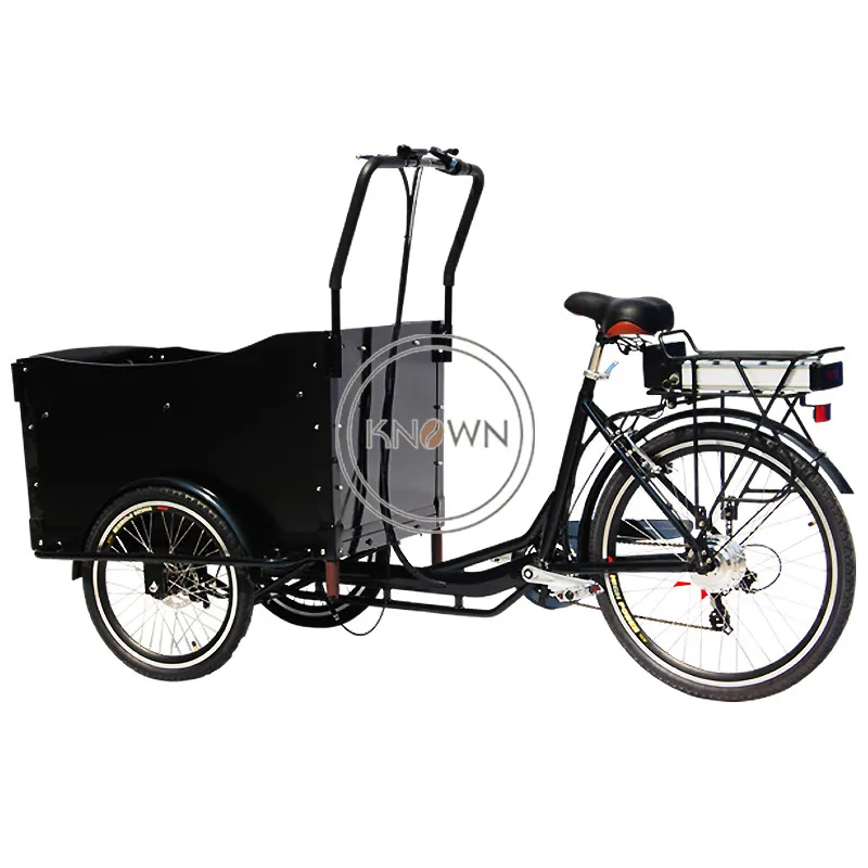 Elektrikli Yetişkin Üç Tekerlekli Bisiklet Aile Kargo Bisikleti Alüminyum Çerçeve 6 Dişli Hızları Sürüklenme Trike Bakkal Alışveriş ve Çocuk Taşıma 4