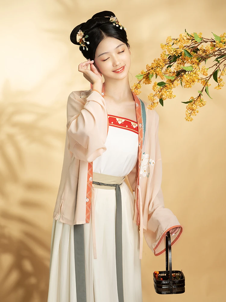 Kadın Çin Antik Geleneksel Zarif Hanfu Elbise Oryantal Song Hanedanı Nakış Prenses peri elbisesi 3 Parça Setleri DWY4399